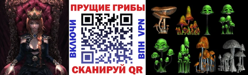 Псилоцибиновые грибы прущие грибы  где можно купить   Курганинск 